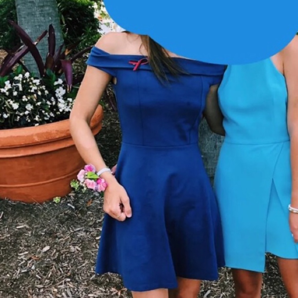 Lulus blue skater dress
